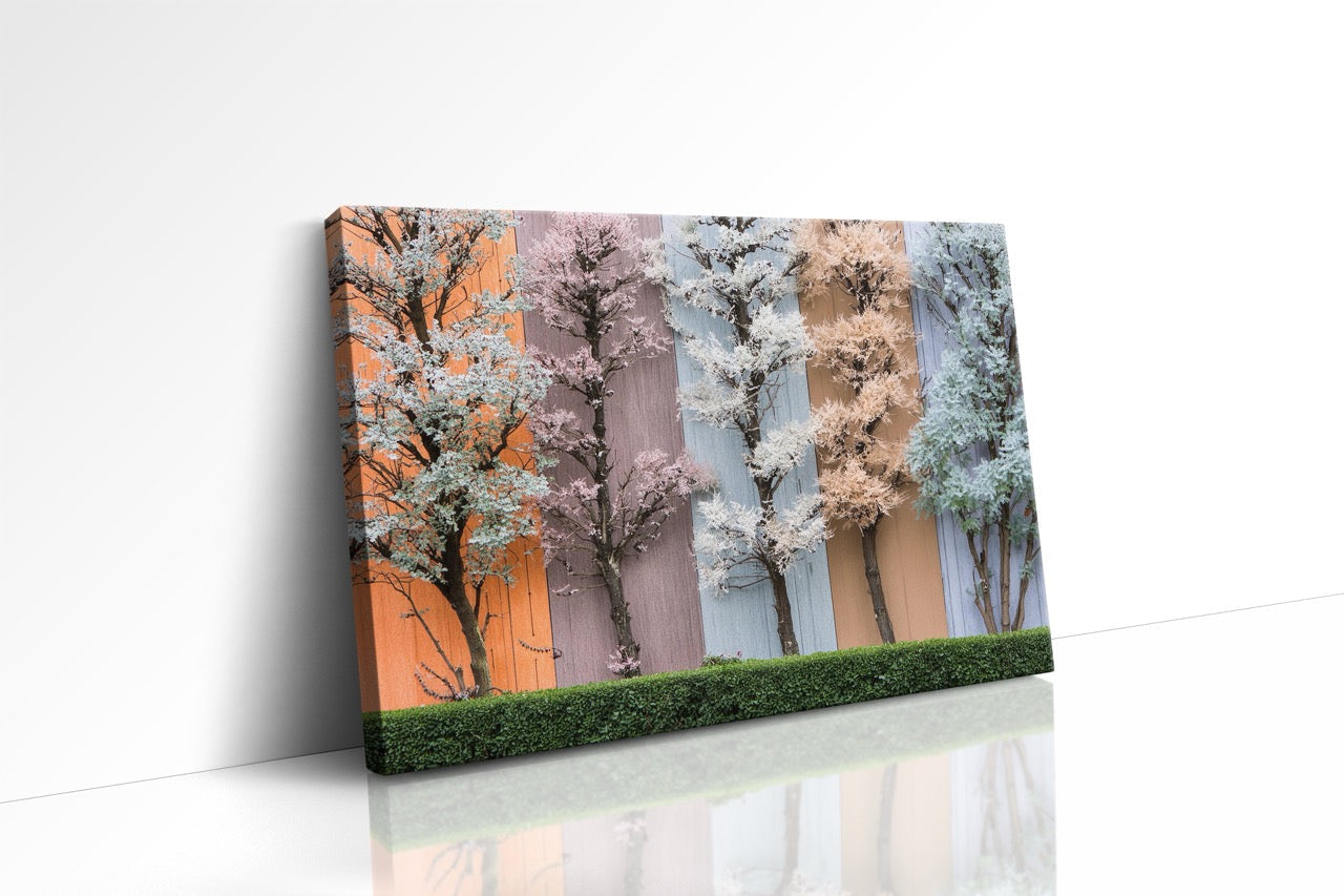 Tablou Canvas Color Tree II