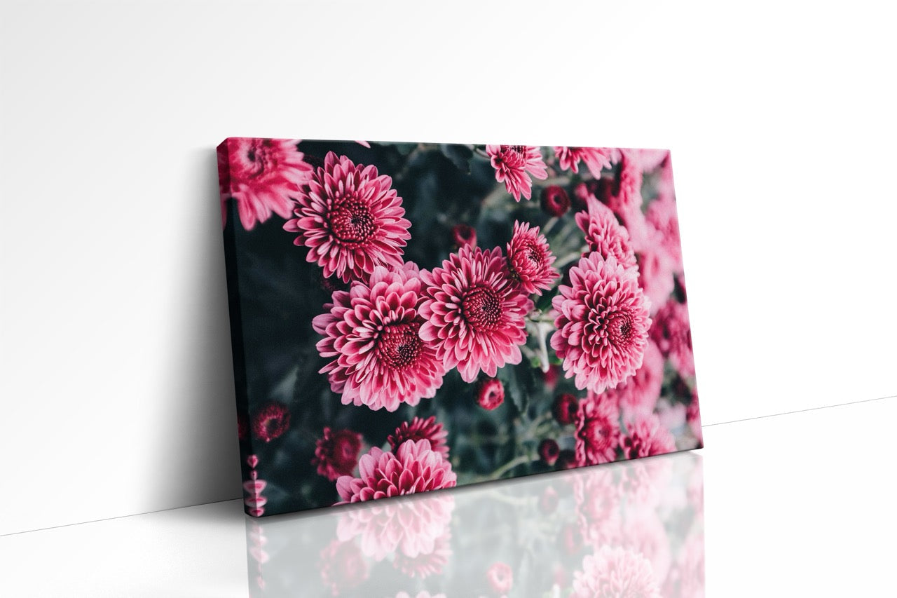 Tablou Canvas Pink Flower