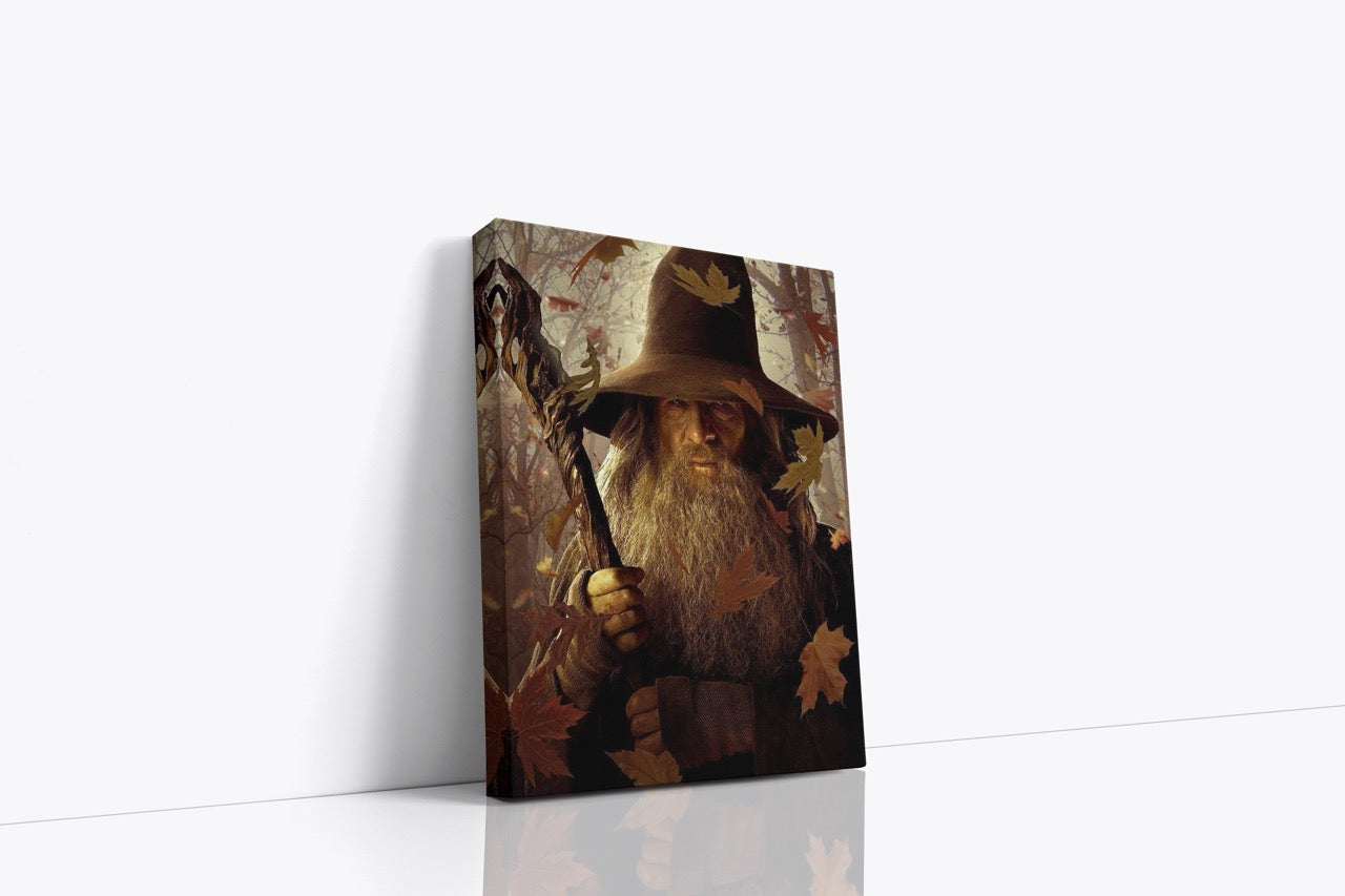 Tablou Canvas Gandalf
