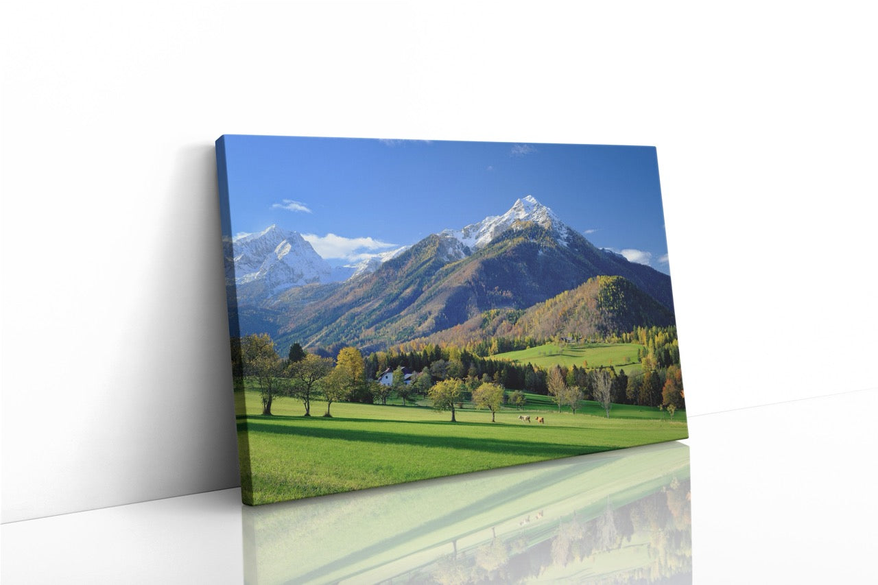 Tablou Canvas Pășunea Verde