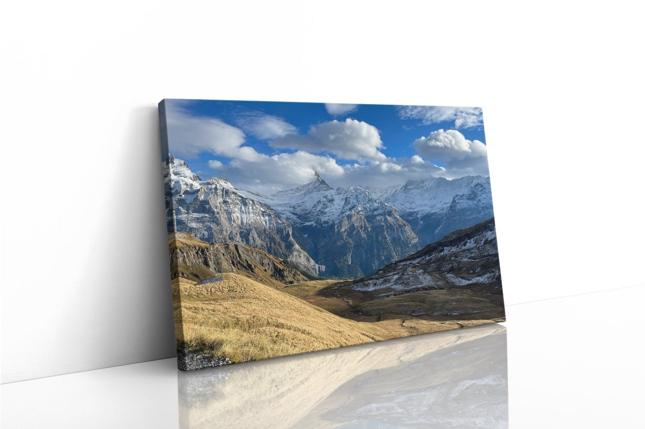 Tablou Canvas Traseu Montan II