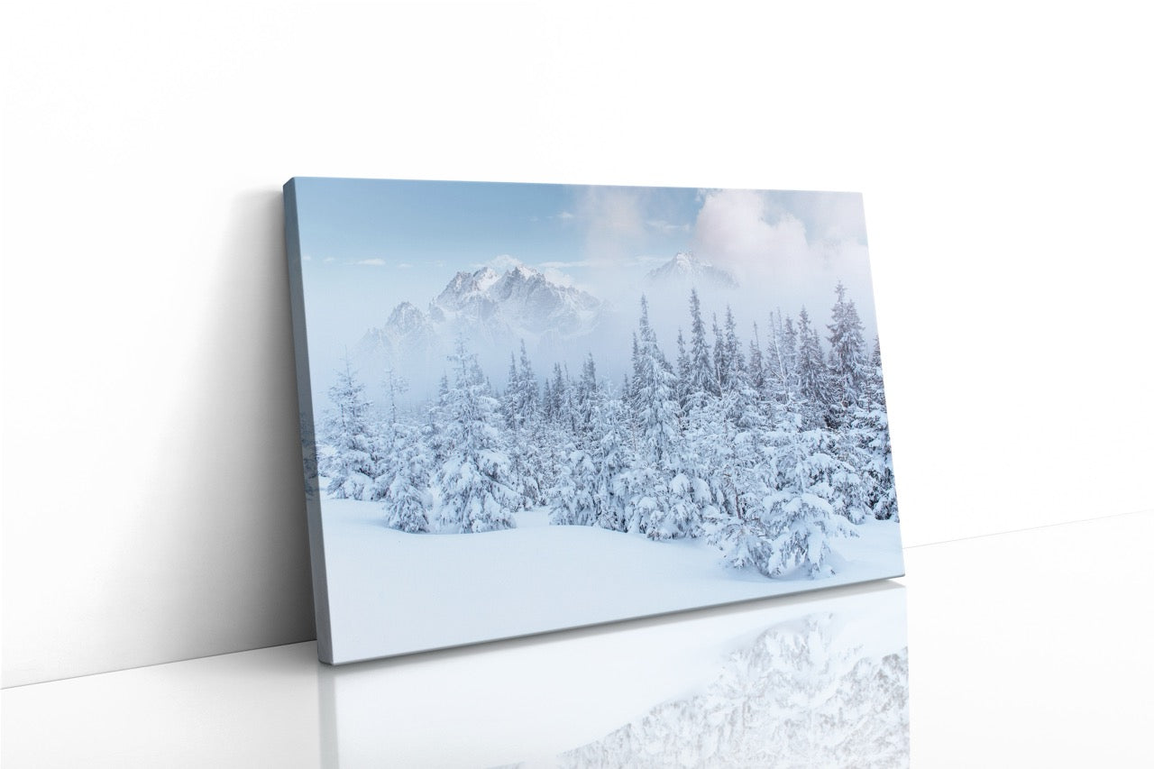 Tablou Canvas White Mountain View