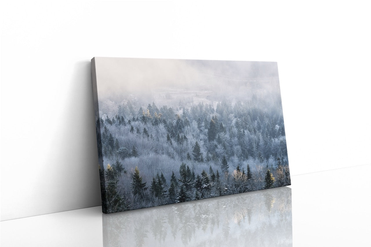 Tablou Canvas Frozen Tree