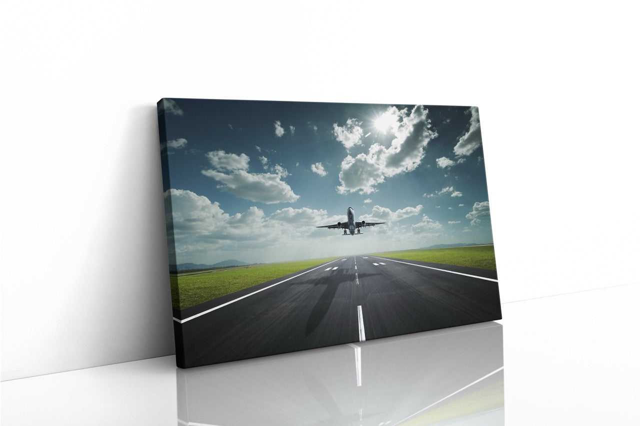 Tablou Canvas Plane II