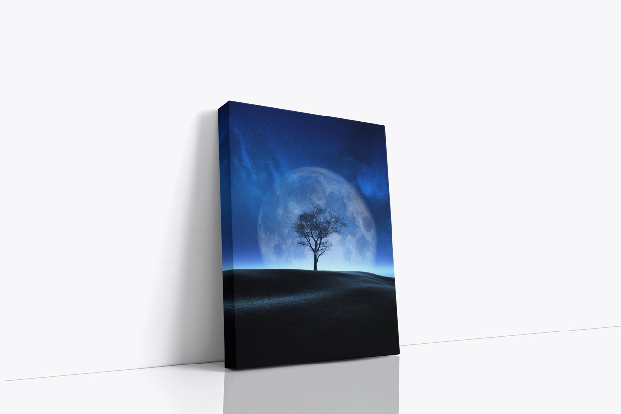 Tablou Canvas Big Moon II