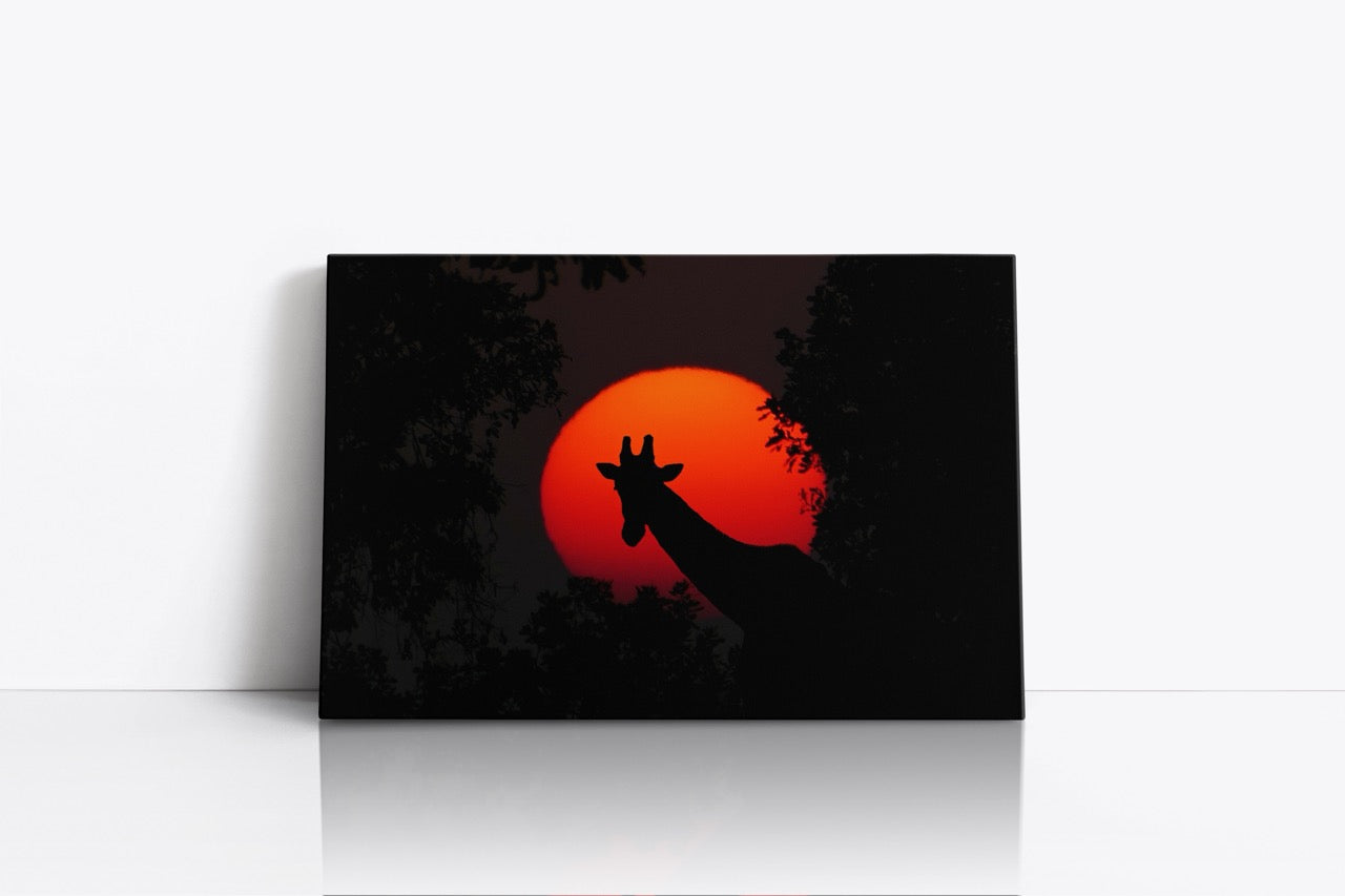 Tablou Canvas Girafa Și Apusul