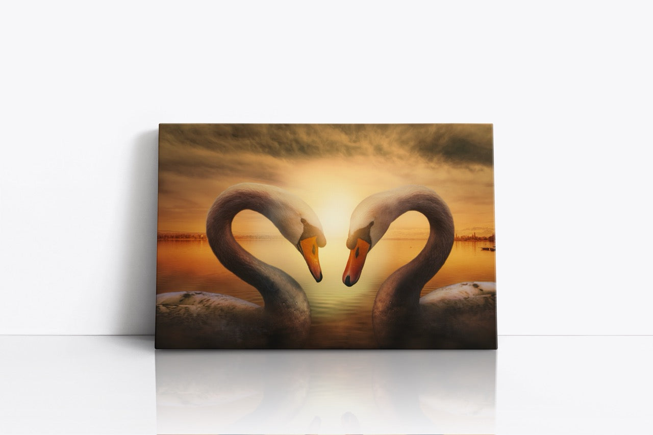 Tablou Canvas Lebede Îndrăgostite