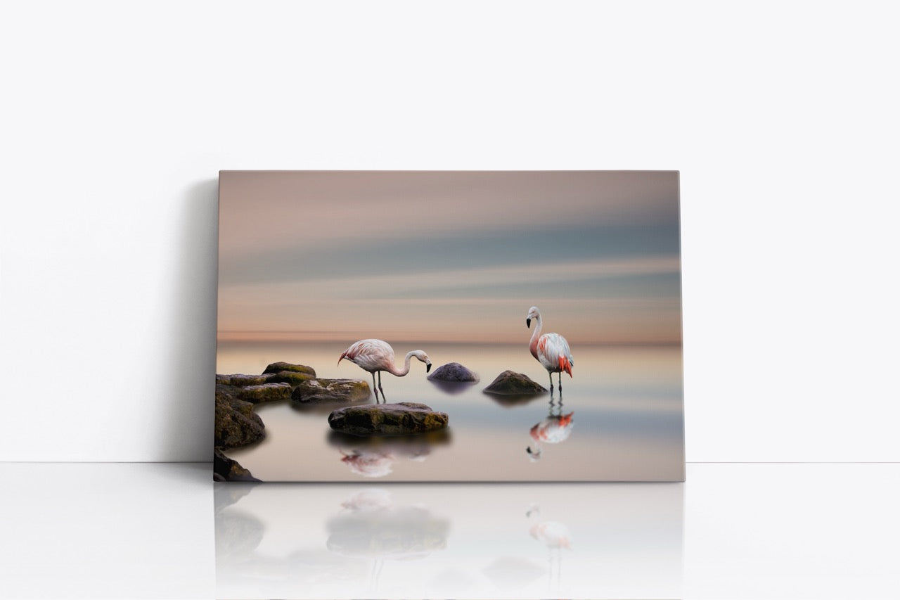 Tablou Canvas Cuplu De Flamingo