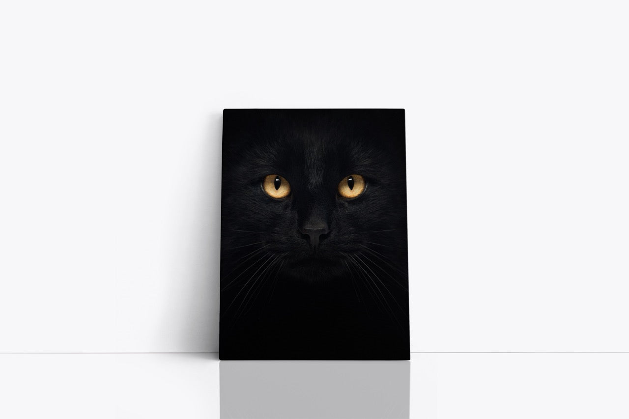 Tablou Canvas Pisica Neagră