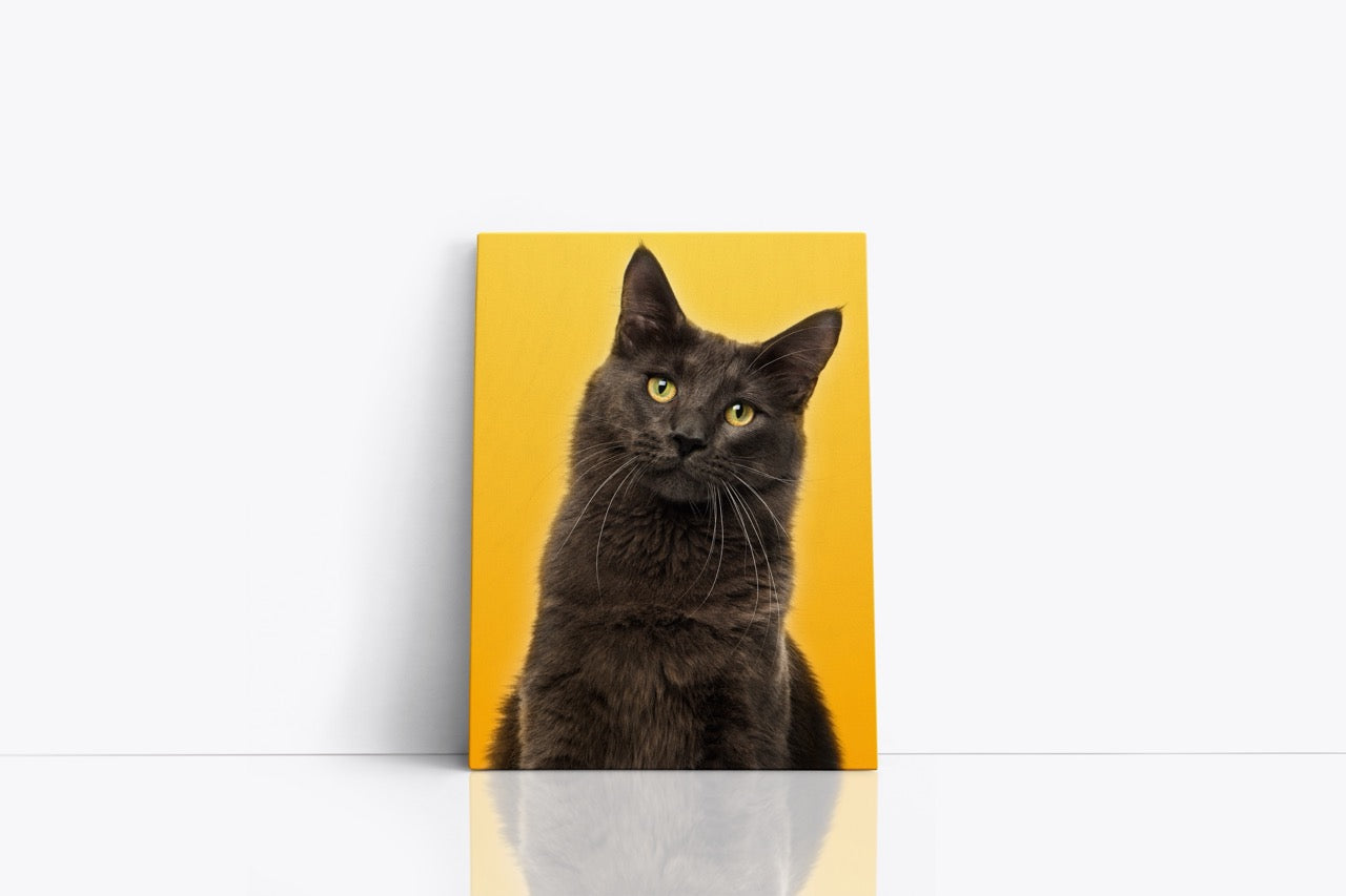 Tablou Canvas Portret Pisica Gri