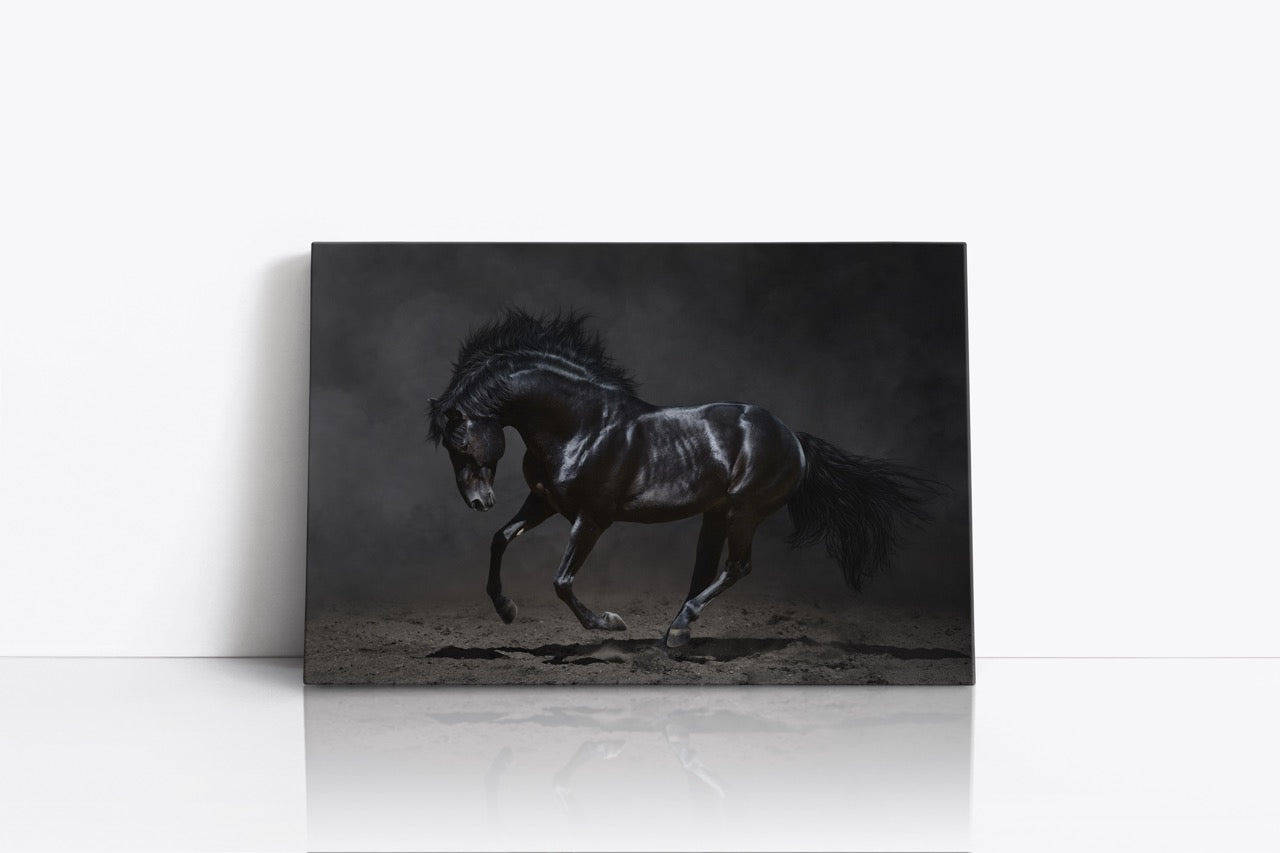Tablou Canvas Calul Negru