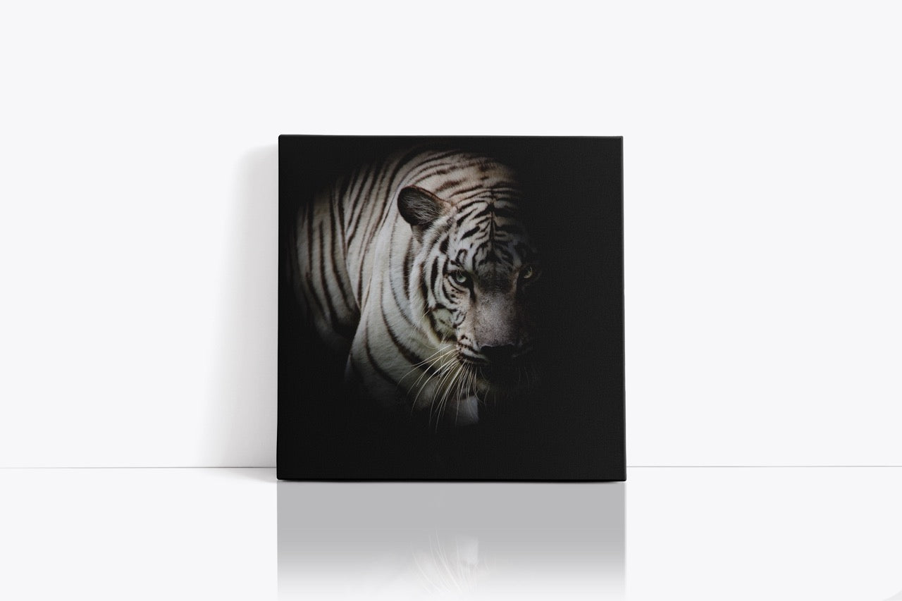 Tablou Canvas Tigru