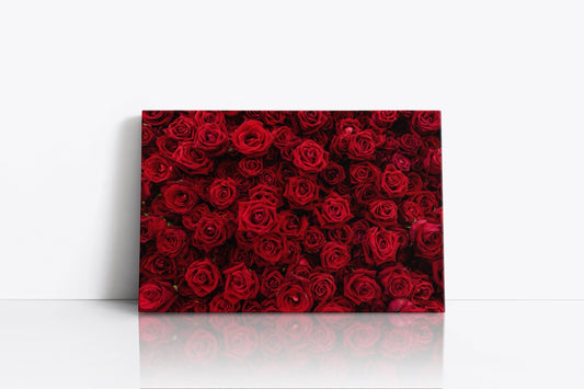 Tablou Canvas Red Flower Wall