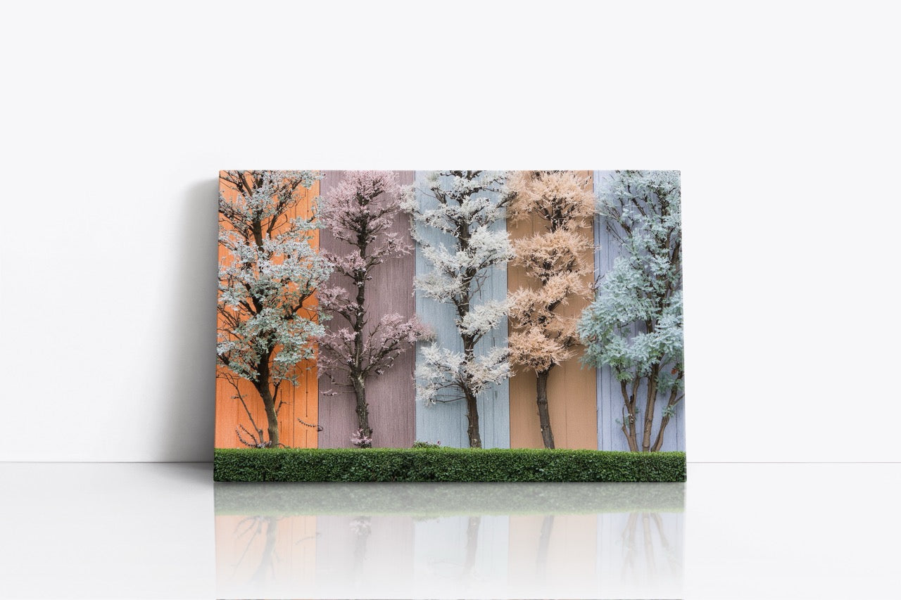 Tablou Canvas Color Tree II