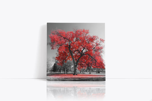 Tablou Canvas Red Tree II