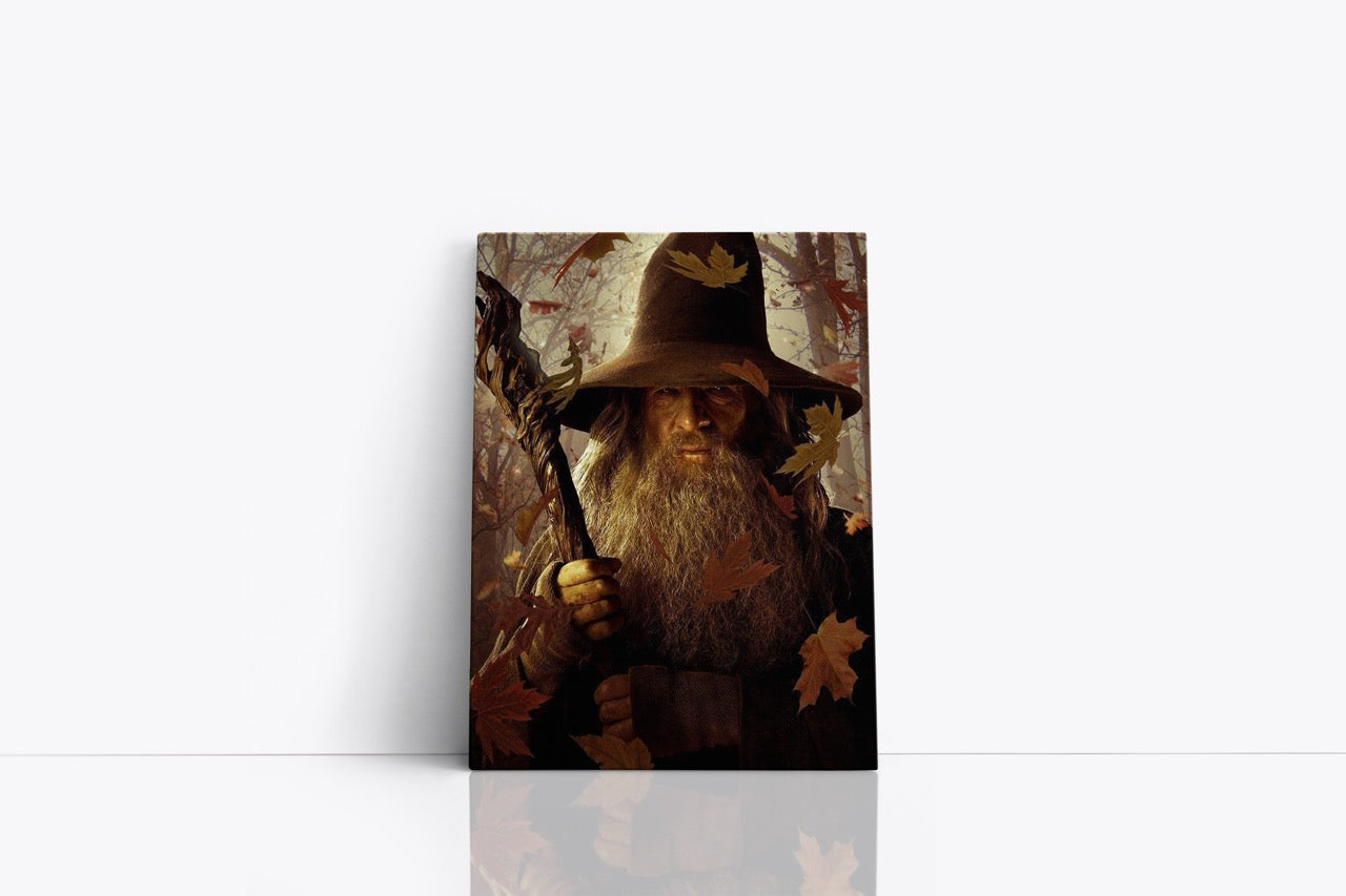 Tablou Canvas Gandalf