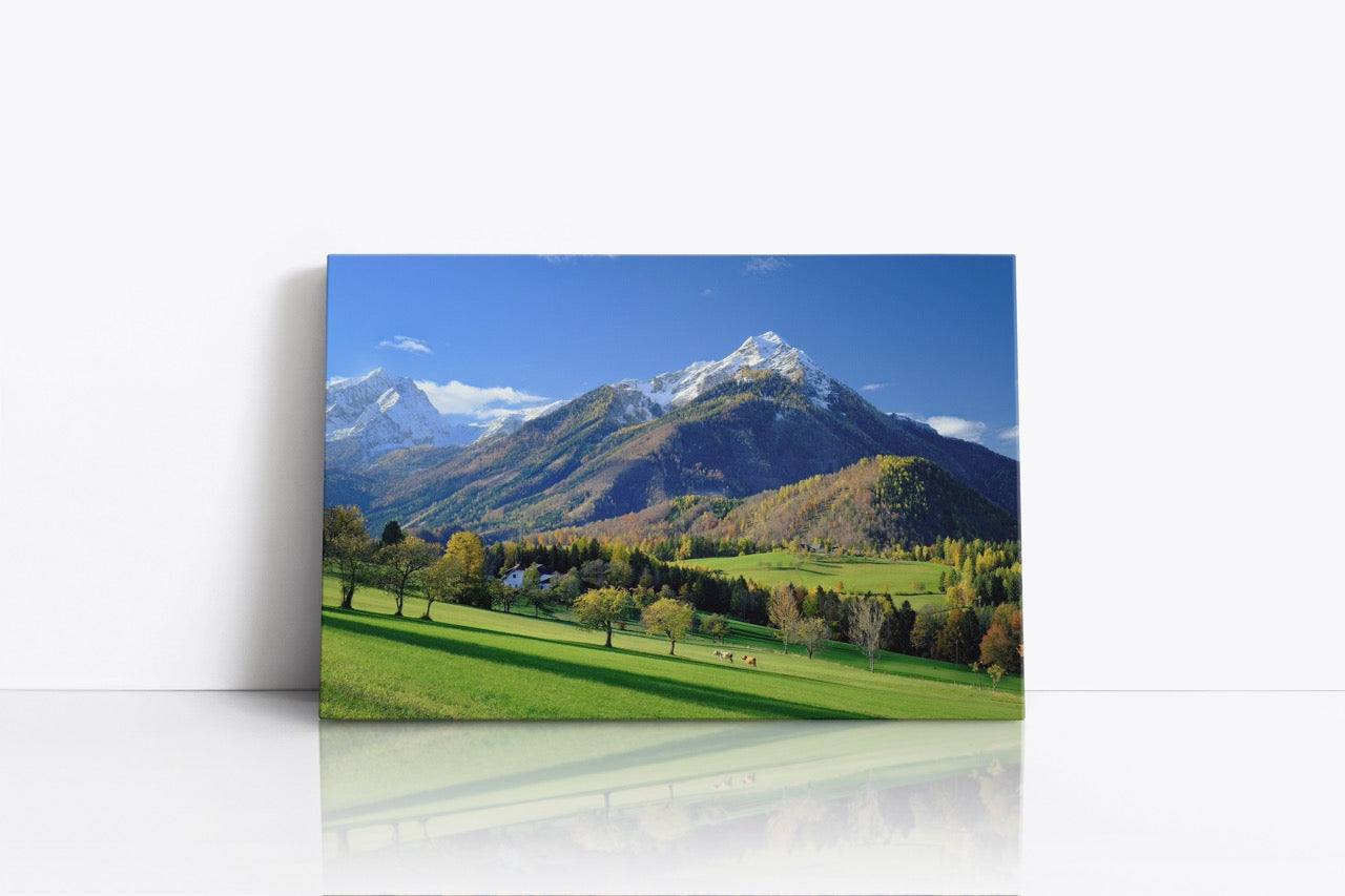Tablou Canvas Pășunea Verde