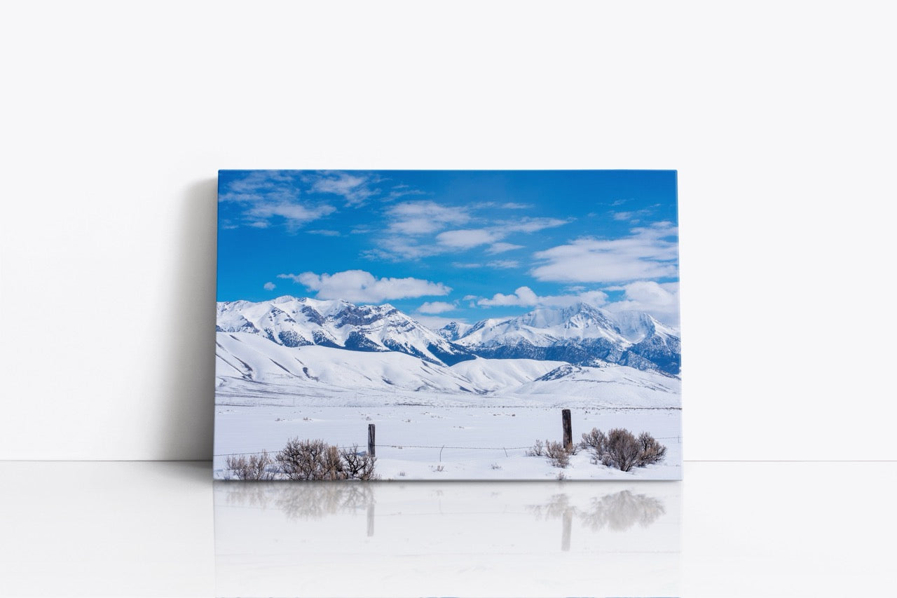 Tablou Canvas Full White View