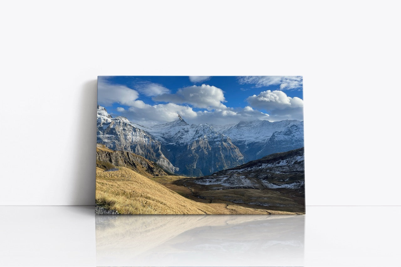 Tablou Canvas Traseu Montan II
