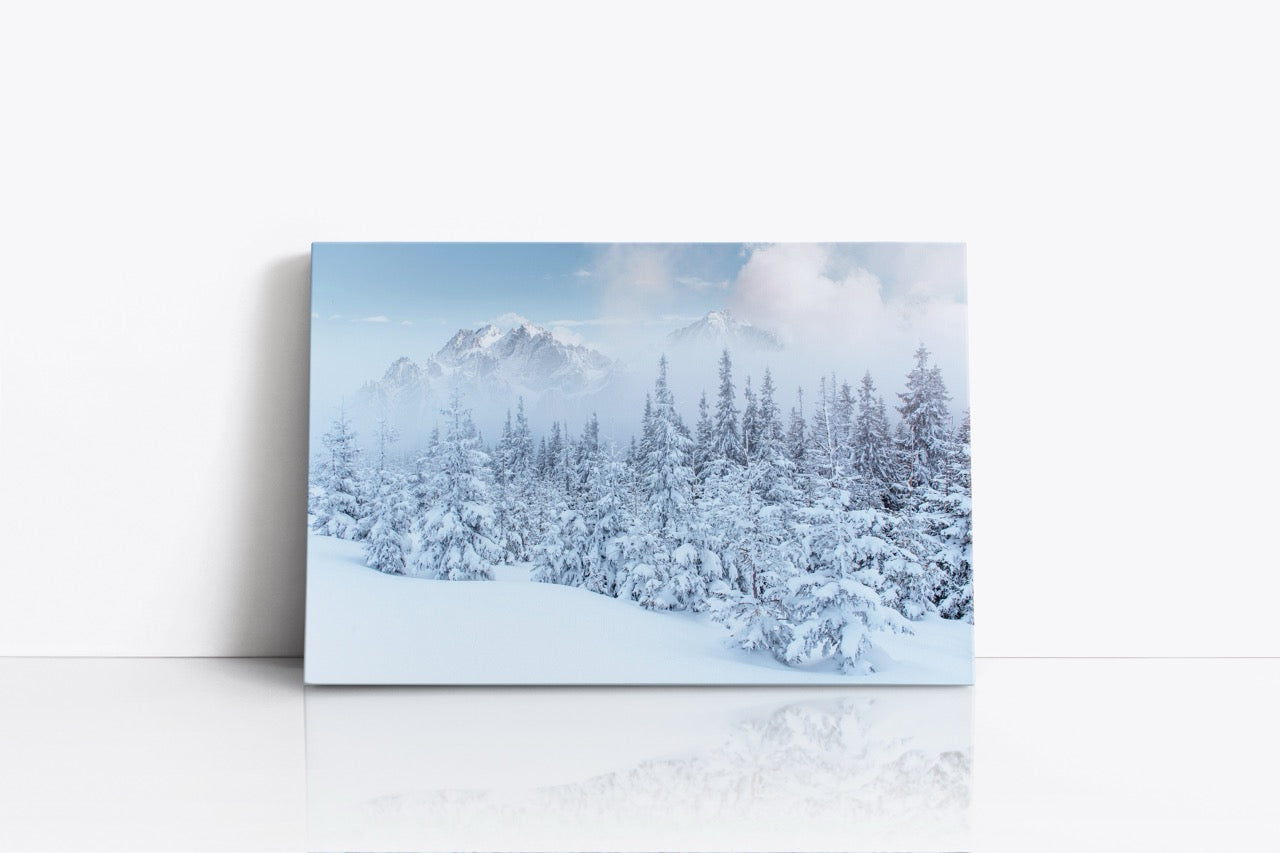 Tablou Canvas White Mountain View