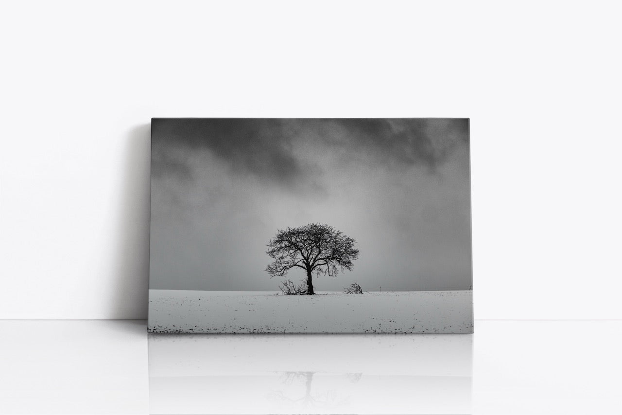 Tablou Canvas Black & White Tree