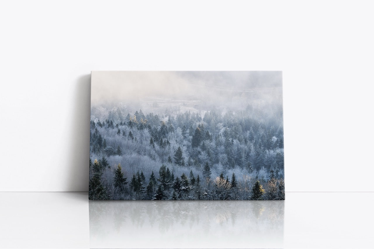Tablou Canvas Frozen Tree