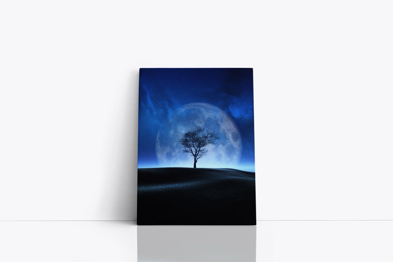 Tablou Canvas Big Moon II